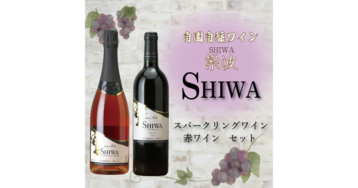 【ふるさと納税】 産地限定 ワインぶどう品種使用 スパークリングワイン・赤ワインセット【自園自醸ワイン紫波】 ふるさと納税 紫波町産 テロワール ワイン （AL063-1）