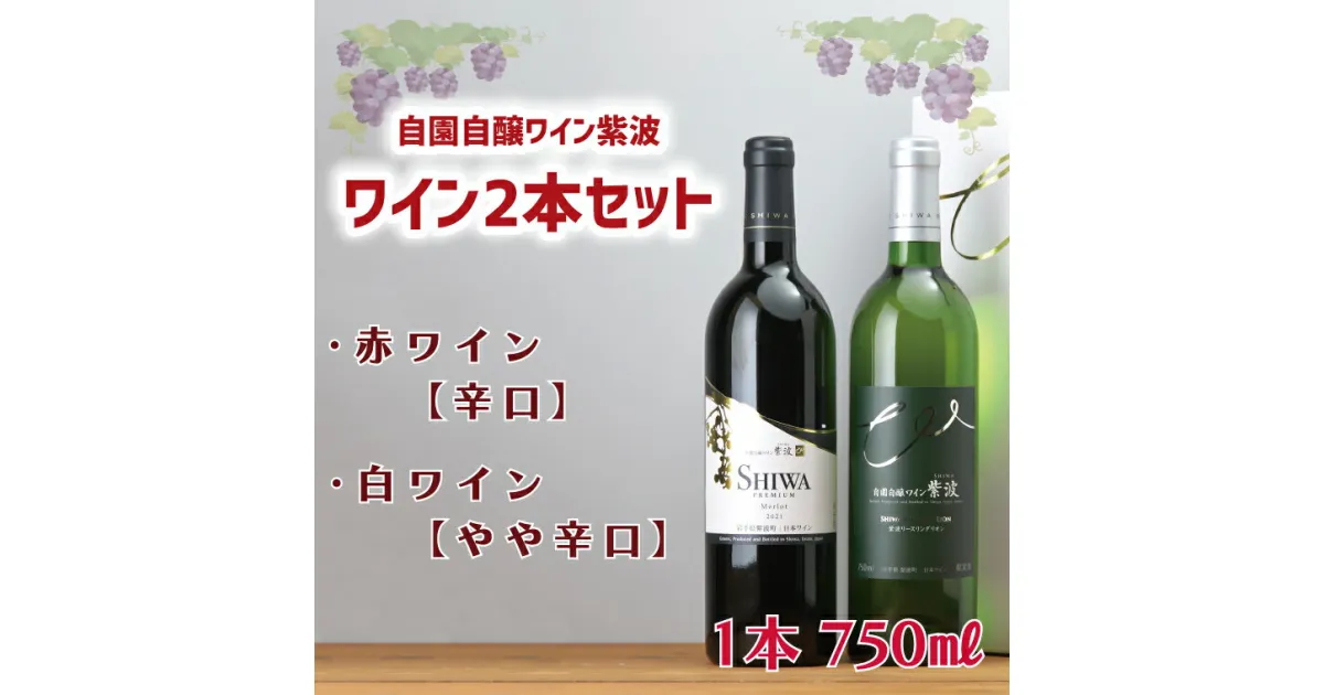 【ふるさと納税】産地限定 ワインぶどう品種使用 ワイン2本セット【自園自醸ワイン紫波】 ふるさと納税 紫波町産 テロワール ワイン （AL040-1）