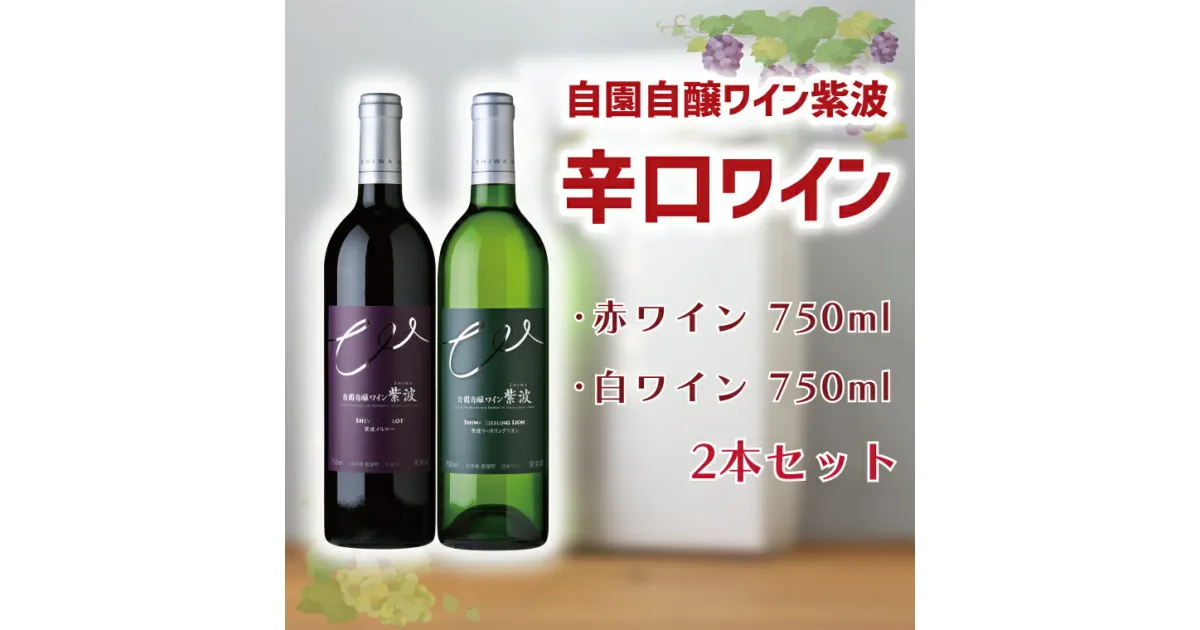 【ふるさと納税】産地限定 ワインぶどう品種使用 自園自醸ワイン紫波 辛口ワイン2本セット ふるさと納税 紫波町産 テロワール ワイン （AL045-1）