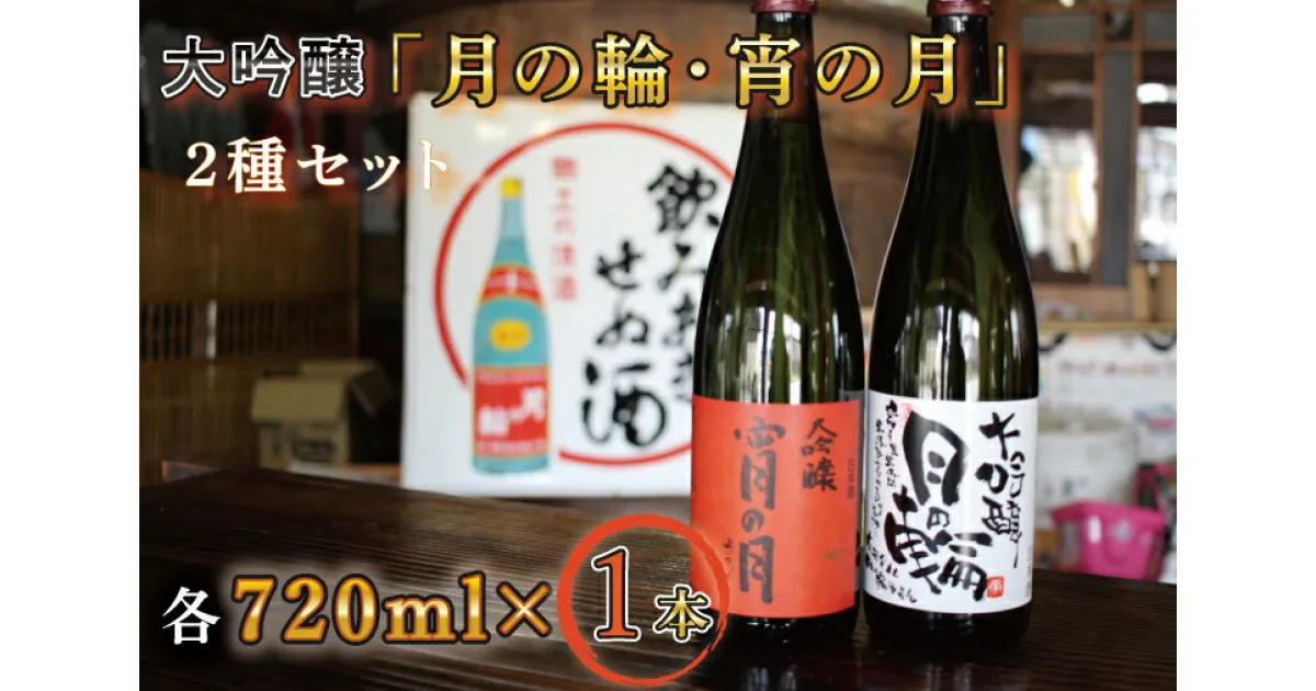 【ふるさと納税】日本酒 飲み比べセット ギフト 【月の輪】大吟醸2種セット（AW007-1）