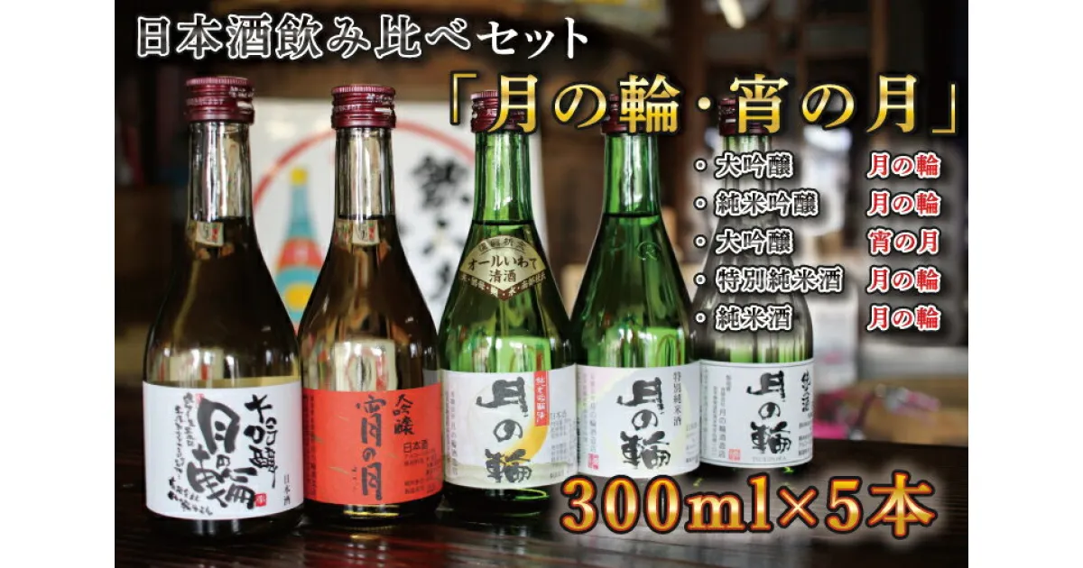 【ふるさと納税】日本酒 300 飲み比べセット ギフト 【月の輪】300mL飲み比べセット（300mL×5本）（AW004-1）