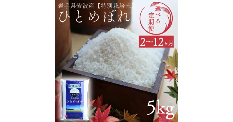 【ふるさと納税】【選べる 定期便】 5kg ひとめぼれ5kg 2ヶ月 3ヶ月 6ヶ月 12ヶ月 令和6年産 岩手県紫波町産 ふるさと納税 米 ひとめぼれ 【特別栽培米】