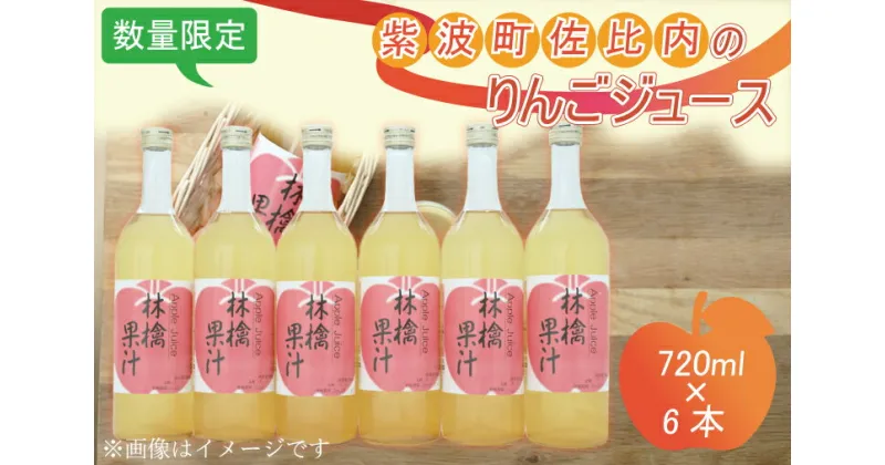 【ふるさと納税】紫波町佐比内のりんごジュース（6本×720ml） ふるさと納税 りんご （BC005）