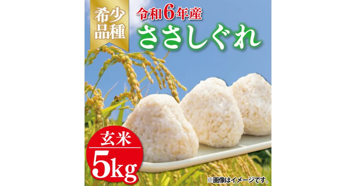 【ふるさと納税】＼新米 10月下旬発送開始予定／ ★令和6年産★ 新米 ささしぐれ 5kg（玄米） ふるさと納税 米 岩手県 (DE008)