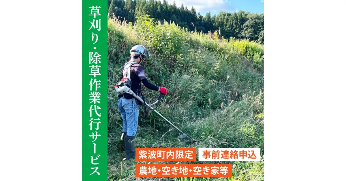 【ふるさと納税】【要事前連絡】草刈り、除草作業サービス（農地、空き地、空き家等）（DQ001）