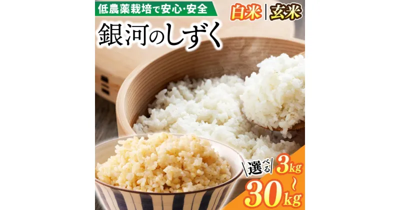 【ふるさと納税】【令和6年産新米】＼選べるサイズ 生産地域限定ブランド米／ 令和6年産 銀河のしずく ( 3kg | 5kg | 10kg | 20kg | 30kg ) ( 精米 | 玄米 ) 低農薬栽培米 生産者直送