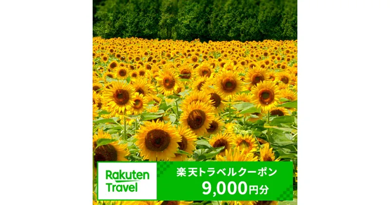 【ふるさと納税】岩手県矢巾町の対象施設で使える楽天トラベルクーポン寄付額30,000円