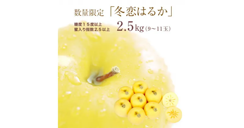 【ふるさと納税】【数量限定】12月発送　糖度15.0以上　蜜入り『冬恋はるか』2.5kg（9玉～11玉）