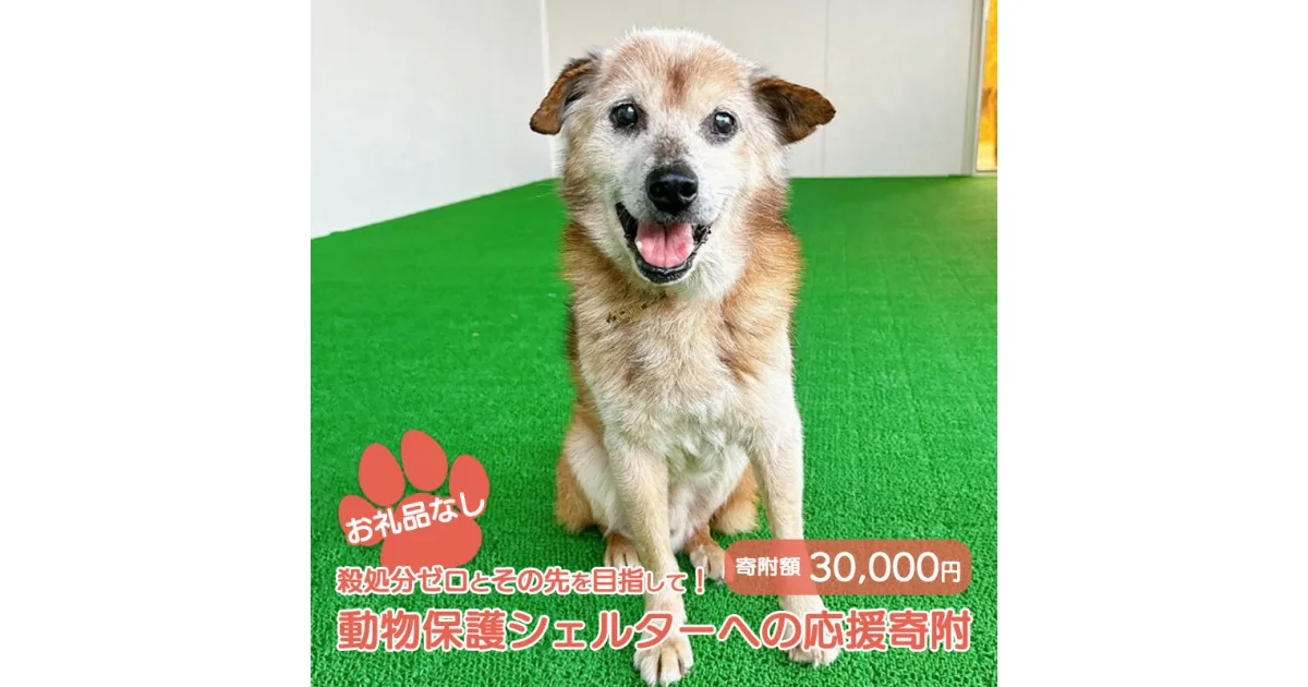 【ふるさと納税】【お礼品なし】殺処分ゼロとその先を目指して！　動物保護シェルターへの応援寄附　30,000円