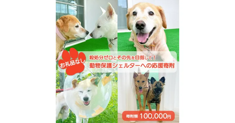 【ふるさと納税】【お礼品なし】殺処分ゼロとその先を目指して！　動物保護シェルターへの応援寄附　100,000円