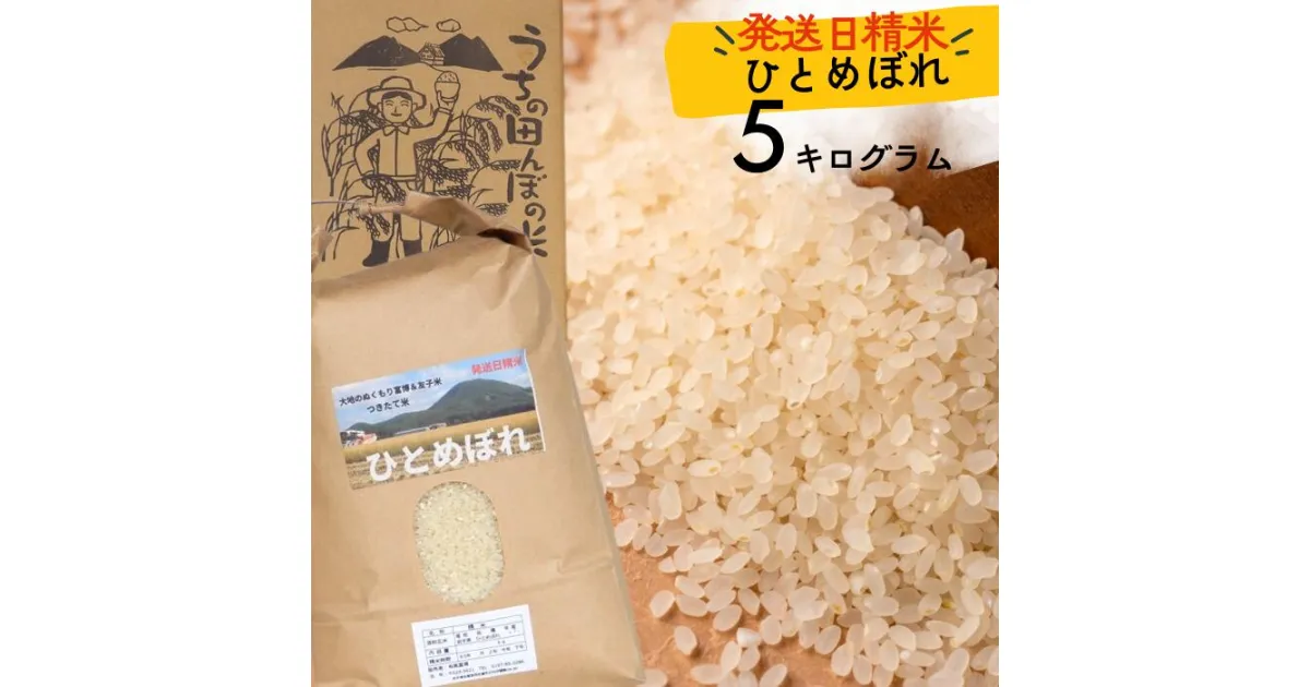 【ふるさと納税】「ひとめぼれ」つきたて米 5kg