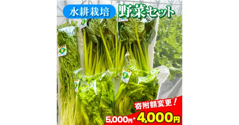 【ふるさと納税】野菜 詰め合わせ 寄附額変更 土を使わない 水耕栽培 5袋 ( レタス チンゲン菜 小松菜 山東菜 水菜 わさび菜 ）3～ 5種類 詰合せ 各 250g グリーン おまかせ セット スムージー やさい 野菜セット 中華 料理 サラダ バランス 葉物野菜 栄養 岩手県 金ケ崎町