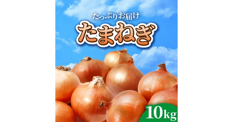 【ふるさと納税】玉ねぎ たまねぎ 訳あり 10kg 【 先行予約 】 令和7年7月〜10月発送 金ケ崎町 産 金ケ崎 岩手県 よこみちファーム 野菜 タマネギ 玉葱 オニオン M～Lサイズ 不揃い バラバラ 皮剥け 10キロ 肉じゃが サラダ 新鮮 高騰 高騰中 高騰野菜 甘い ハンバーグ