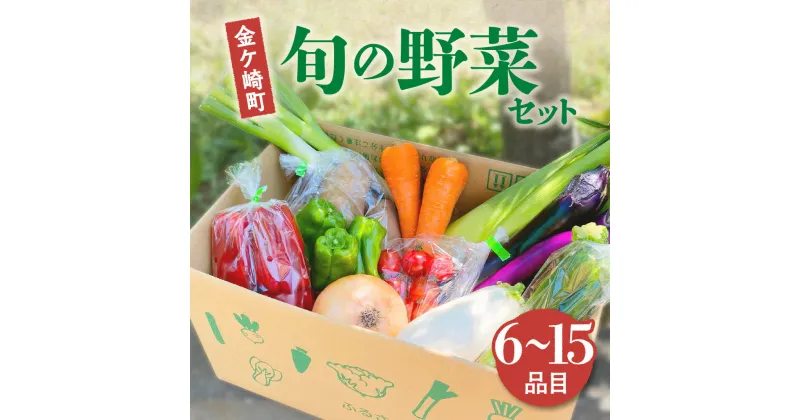 【ふるさと納税】野菜セット 送料無料 お試し ( 6品 5,000 円 ) 詰め合わせ おまかせ 6～ 15品 たっぷり やさい BBQ 満喫 季節 旬 春野菜 夏野菜 秋野菜 新鮮 野菜生活 831 ズッキーニ 玉ねぎ グリーン サラダ 中華 国産 野菜 レシピ 2024 一人暮らし 岩手県 金ケ崎町 iwate