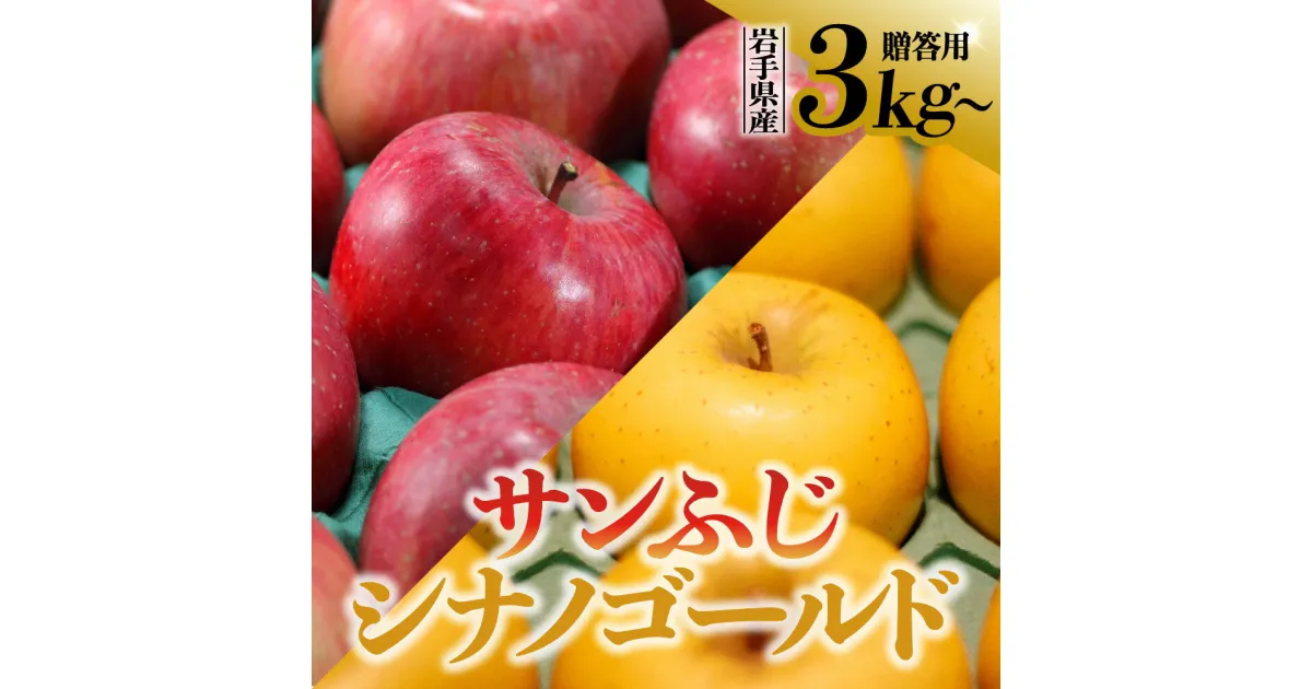 【ふるさと納税】先行予約 令和6年産 りんご サンふじ シナノゴールド 3kg 5kg 10kg 岩手県 金ケ崎町産 先行予約 贈答用 12月上旬発送予定