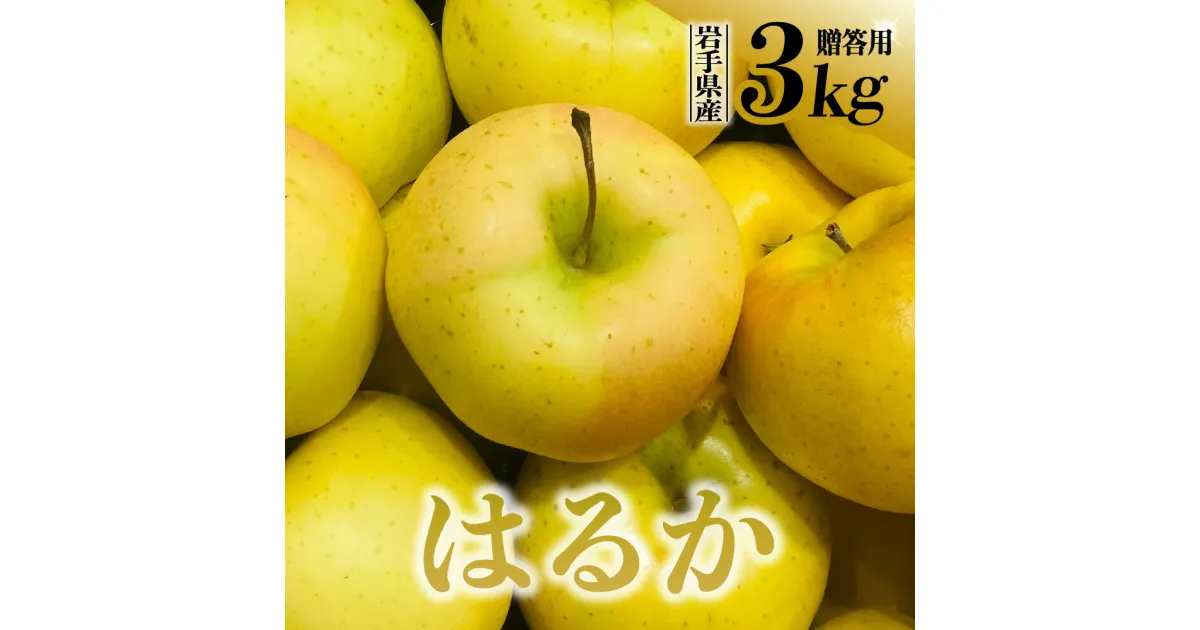 【ふるさと納税】先行予約 令和6年産 りんご はるか 3kg 贈答用 金ケ崎町産 岩手県 先行予約 12月上旬発送予定