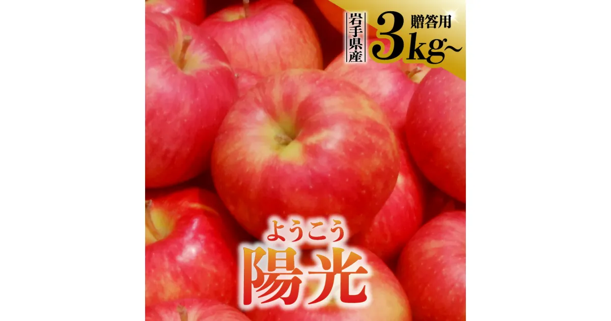 【ふるさと納税】先行予約 令和6年産 りんご 陽光 ようこう 3kg 5kg 贈答用 リンゴ 林檎 岩手県 金ケ崎町産 新着