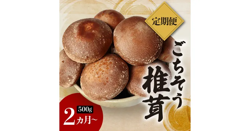 【ふるさと納税】定期便 椎茸 国産 菌床 A品 500g ごちそう 生椎茸 生しいたけ しいたけ きのこ 出汁 肉厚 料理 お取り寄せ 岩手 岩手県 岩手県産 金ケ崎 金ケ崎町 金ケ崎町産 新着