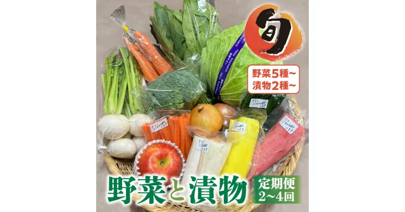 【ふるさと納税】季節の野菜と漬物詰め合わせ セット 定期便 2回 4回 野菜と果物5品以上 漬物2種以上 旬 季節 おまかせ 詰め合わせ 岩手県 金ケ崎町