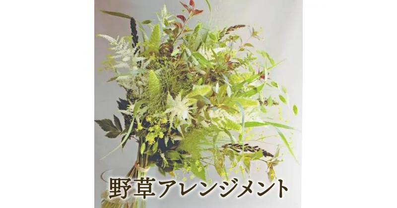 【ふるさと納税】〈先行予約〉ZASSOプロジェクト 野花が映える季節の花束 花 観葉植物 ガーデニング インテリア 贈り物 ギフト プレゼント