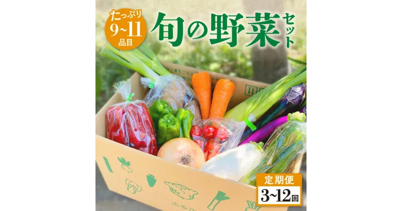 【ふるさと納税】【定期便／3ヶ月～12ヶ月】たっぷり旬の野菜セット 9～11品目 3ヶ月 6ヶ月 12ヶ月 定期 季節 旬 春野菜 夏野菜 秋野菜 金ケ崎町 旬 新鮮 野菜 セット 詰め合わせ おまかせ