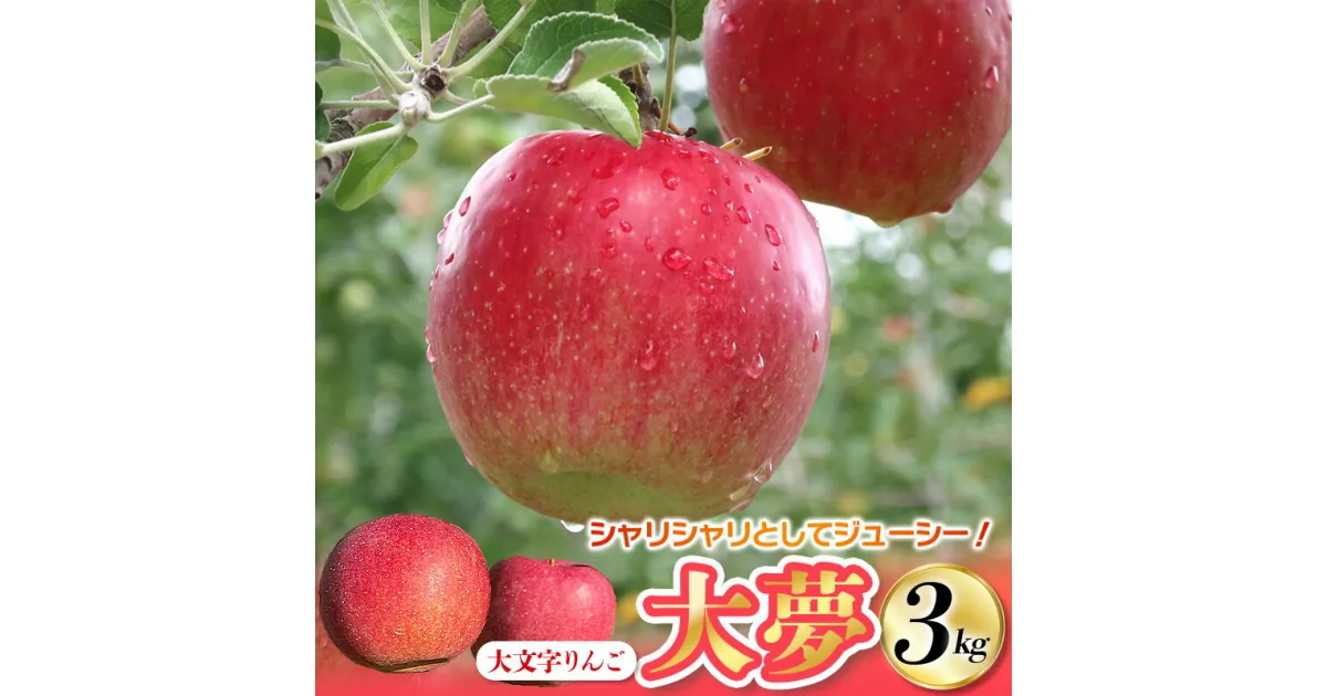 【ふるさと納税】 りんご 大夢（おおゆめ） 約3kg (7〜10玉) 大文字りんご園 / 蜜 14000円 国産 樹上完熟 幻のりんご 林檎 果物 くだもの フルーツ 甘い 旬 産地直送 先行予約 【令和6年度分予約受付】【2024年11月上旬頃より順次発送】レビューキャンペーン実施中