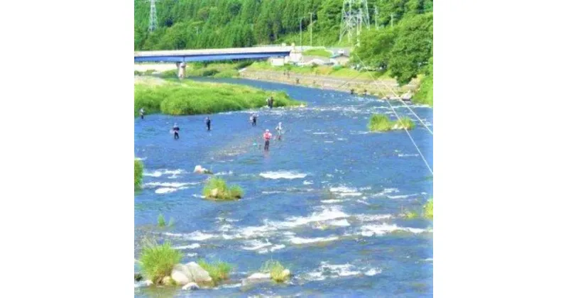 【ふるさと納税】気仙川遊漁券　年券・全漁種