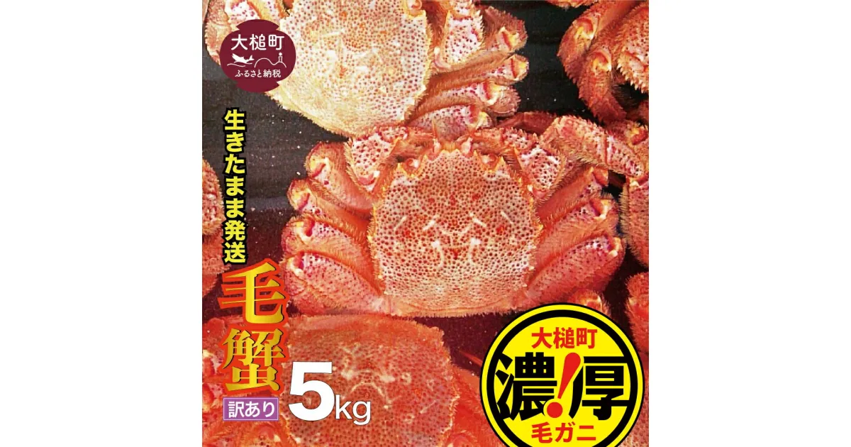 【ふるさと納税】【令和7年2月〜4月発送発送】【訳あり】三陸産 活毛ガニ 5kg 毛がに 毛ガニ 活ガニ 活がに 活蟹 毛蟹 三陸 かにみそ 海鮮 カニ 毛蟹 毛かに 毛ガニ 毛カニ かに カニ 蟹 活ガニ 活がに 活蟹 毛蟹 濃厚 冷蔵 先行予約