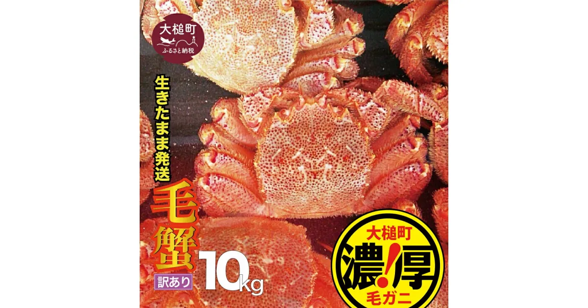 【ふるさと納税】【令和7年2月〜4月発送発送】【訳あり】三陸産 活毛ガニ 10kg 毛がに 毛ガニ 活ガニ 活がに 活蟹 毛蟹 三陸 カニ味噌 みそ 海鮮 毛蟹 毛カニ かに カニ 蟹 ガニ 冷蔵 ふるさと納税 濃厚 先行予約