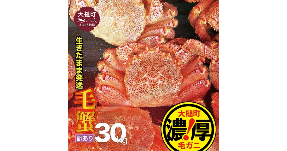 【ふるさと納税】【令和7年2月〜4月発送発送】【訳あり】三陸産 活毛ガニ 30kg 活ガニ 活がに 活蟹 毛蟹毛がに 毛ガニ 生 カニ味噌 みそ 海鮮 毛蟹 毛かに 毛カニ かに カニ 蟹 ガニ がに 濃厚 冷蔵 ふるさと納税 先行予約