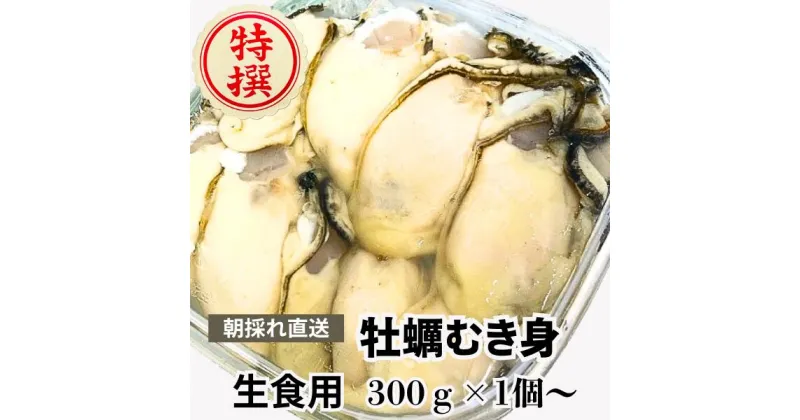 【ふるさと納税】生食用牡蠣むき身（300g）×1本/2本/3本【期間限定1月〜4月発送】