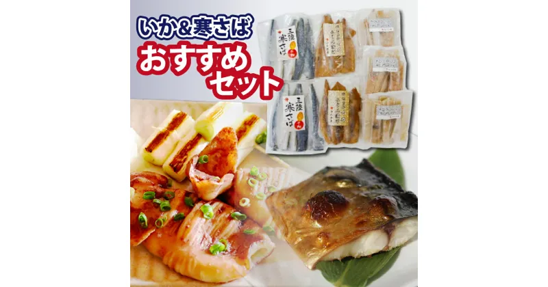 【ふるさと納税】石山水産 おすすめセット ( いか＆さば ) 冷凍 烏賊 マツイカ いか イカ焼き 干し 干物 魚介 海鮮 BBQ 日本酒 おつまみ お弁当 おかず 冷凍食品 シーフード 冷凍食材 サバ 鯖