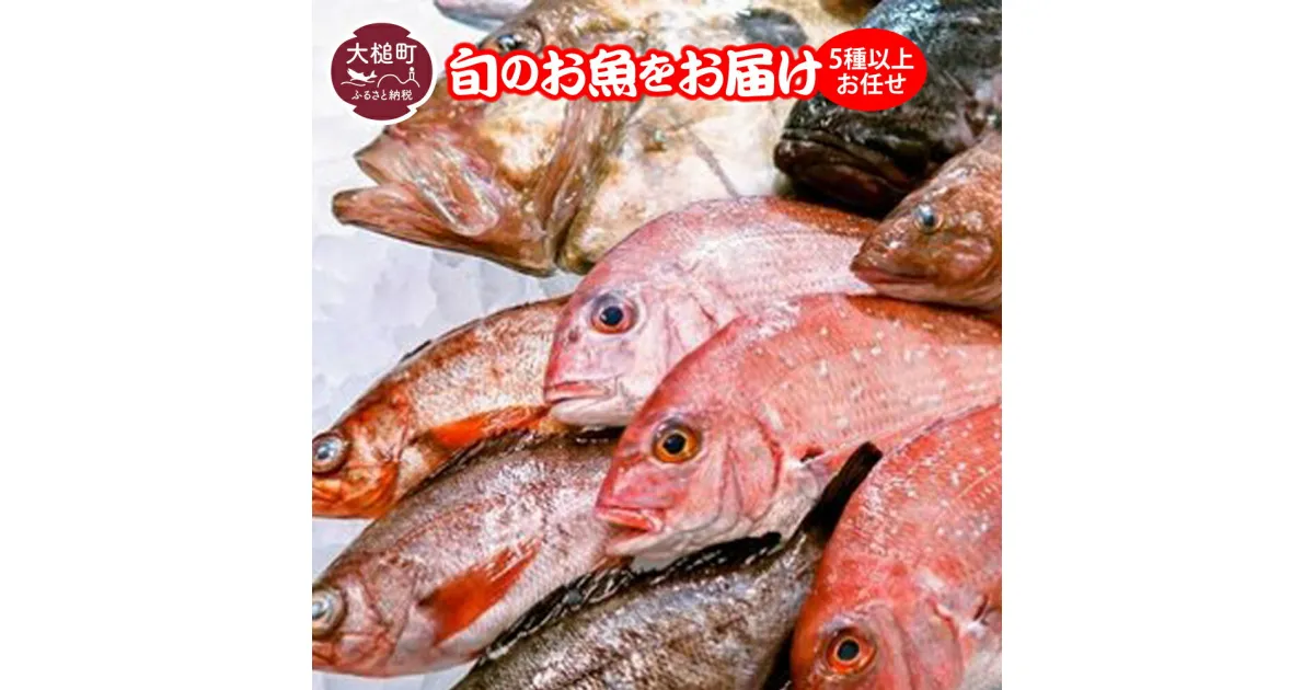 【ふるさと納税】 5種以上お任せ 期間限定 5月〜12月中旬発送 旬 の お魚 をお届け 三陸産 冷蔵