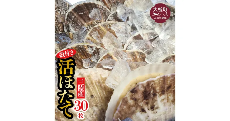 【ふるさと納税】活ほたて 活ホタテ 殻付き 朝獲れ (大30枚) 生食用 逸品 冷蔵 BBQ 三陸産 生食 刺身 帆立 朝獲れ 生 貝柱 大粒 大玉 肉厚 新鮮 海鮮 人気 甘い魚介 魚介類 貝 貝類