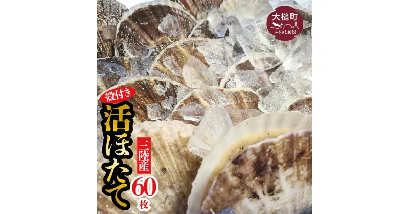 【ふるさと納税】活ほたて 活ホタテ 殻付き 朝獲れ (大60枚) 生食用 逸品 冷蔵 BBQ 三陸産 生食 刺身 帆立 朝獲れ 生 ほたて 貝柱 大粒 大玉 肉厚 新鮮 海鮮 人気 甘い魚介 魚介類 貝 貝類