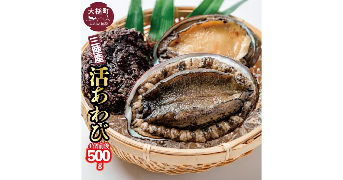 【ふるさと納税】活アワビ約500g（4個前後）約1kg（8個前後）【配送日・曜日指定不可】【期間限定11月〜12月発送】