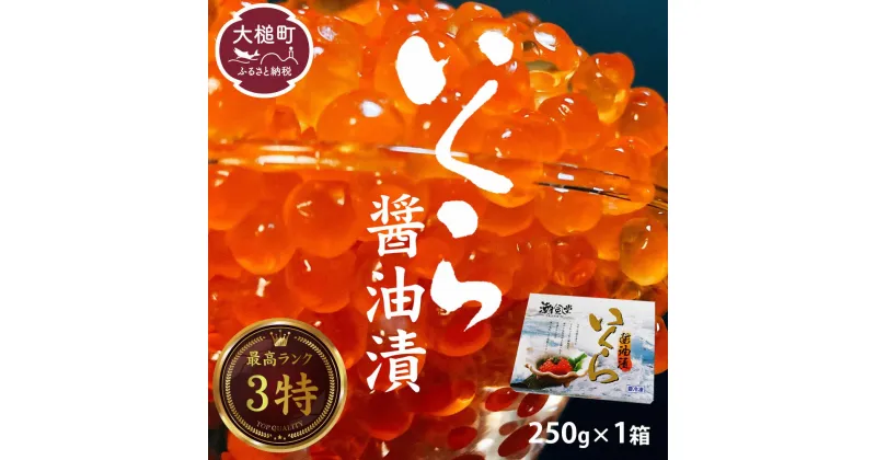 【ふるさと納税】いくら 醤油漬け 国産 数量限定 250g × 1箱 冷凍 イクラ 鮭 秋鮭 魚卵 海鮮 ikura 極上品 3特 おせち 魚 サケ 鮭いくら 鮭卵 さけ 卵 ご飯 イクラ丼 お祝い 縁起物 食品 グルメ のし 送料無料 岩手県 大槌町 TRS