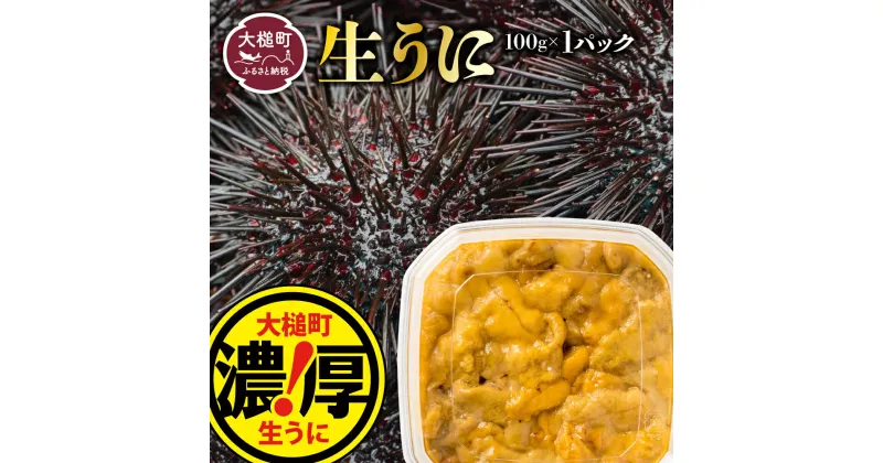 【ふるさと納税】【令和7年発送先行予約】塩水うに100g (1個～3個)【2025年5月上旬～8月発送】うに 岩手県大槌町 ウニ 100g 国産 ミョウバン不使用 生うに 収穫した日に発送 朝獲れ 天然【配送日指定不可】 《三陸産 濃厚 味》