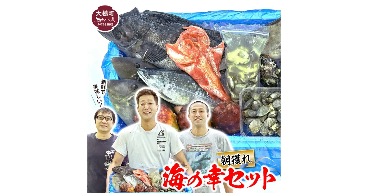 【ふるさと納税】 朝獲れ海の幸セット（旬の鮮魚、海藻などの詰合せ） 朝どれ 海の幸 セット 詰合せ 詰め合わせ つめあわせ 魚介 鮮魚 旬 海藻 活魚 岩手県 大槌町