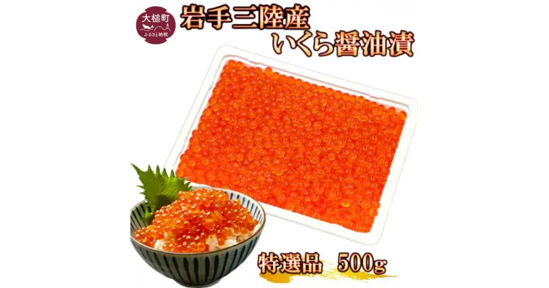 【ふるさと納税】岩手三陸産 大粒 いくら醤油漬 500g×1個【配送日指定不可】