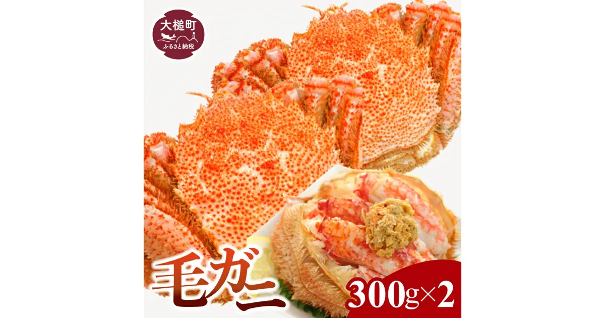 【ふるさと納税】【令和7年発送】三陸産 活毛ガニ (300g×2杯) (250g×3杯) (400g×1杯〜2杯) (500g×1杯) 【2025年3月〜4月発送先行予約】毛がに 蟹 カニ 三陸 活ガニ 活がに 活蟹 毛蟹 海鮮 魚介 かにみそ 贅沢 海鮮 寿司 ちらし がに ガニ 毛蟹 濃厚