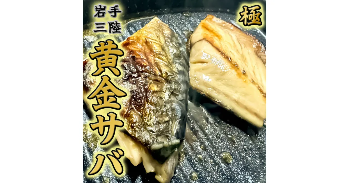 【ふるさと納税】 【黄金熟成】塩さば 個包装 約 60g × 16切 計約960g 三陸産 無添加