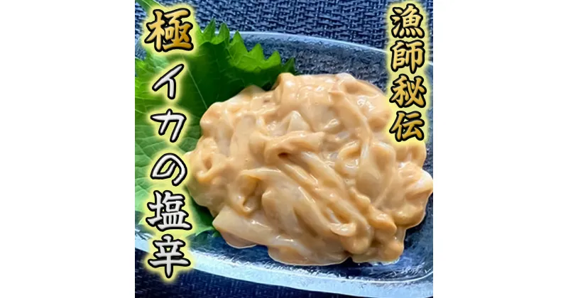 【ふるさと納税】自家製 いか塩辛 400g ( 100g × 4個 )