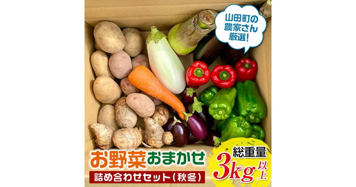 【ふるさと納税】 先行予約 8月下旬～11月下旬発送！ 漉磯さんのお野菜おまかせ詰め合わせセット あやちゃんの野菜3kg 人気TV番組で紹介されました！ 三陸山田 岩手県山田 山田産 野菜 なす ピーマン にんじん 里芋 じゃがいも 里芋 根菜 きのこ 白菜 YD-561