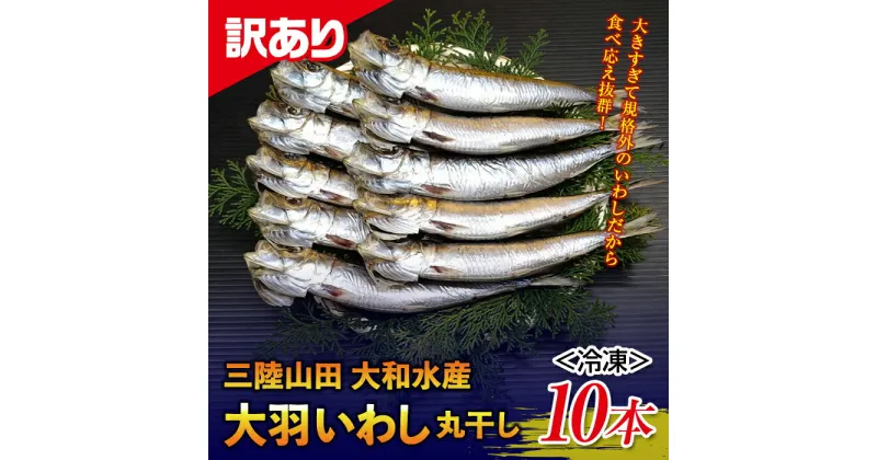 【ふるさと納税】訳あり 大和水産の大羽いわし 丸干し 10本 大羽イワシ 規格外 大きすぎる 脂乗り抜群 新鮮 低温 マイワシ まいわし 干物 鰯 さかな 魚介類 YD-568