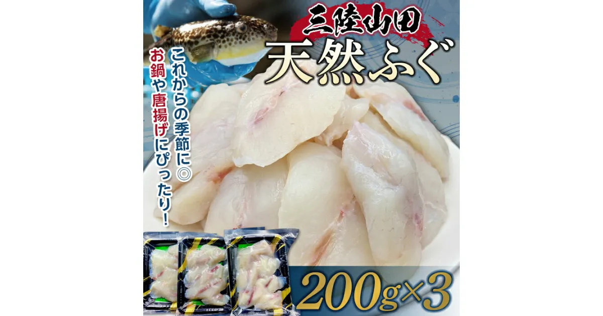 【ふるさと納税】三陸山田の天然ふぐ 600g YD-572