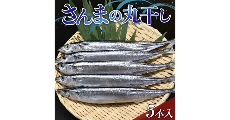 【ふるさと納税】大和水産の新物さんまの丸干し5本入り 秋刀魚 サンマ 三陸山田 YD-649