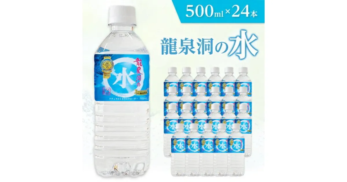 【ふるさと納税】 龍泉洞の水 500ml × 24本 _ 水 ミネラルウォーター 天然水 ペットボトル 飲料 飲料水 【1245965】