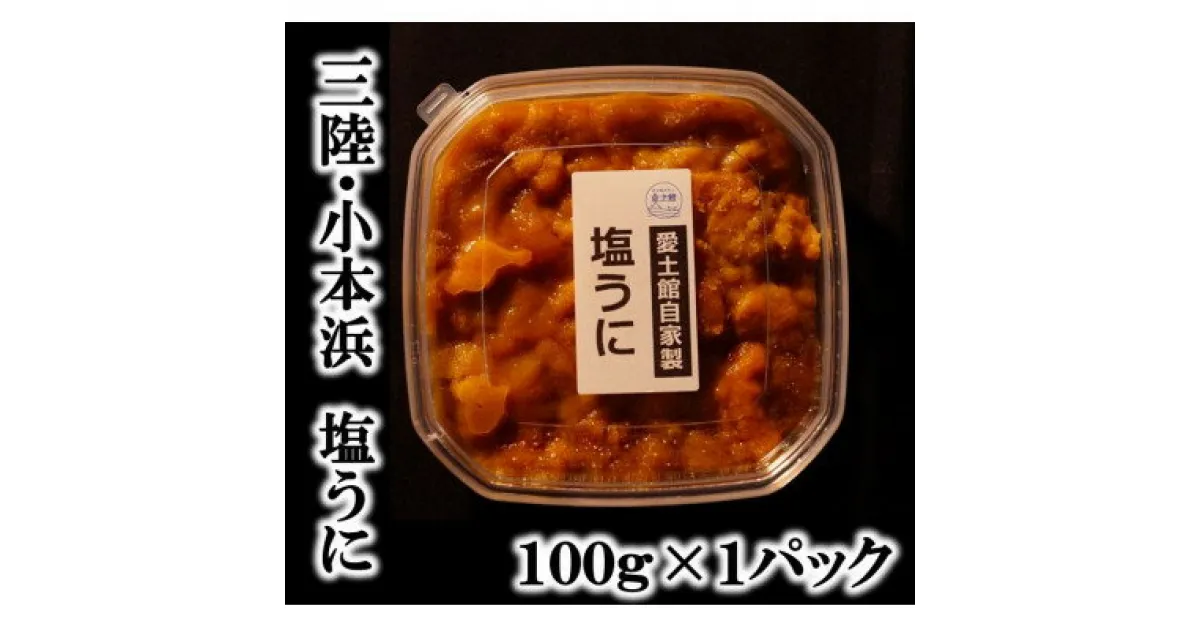 【ふるさと納税】三陸小本浜産塩ウニ100g【配送不可地域：離島】【1427512】