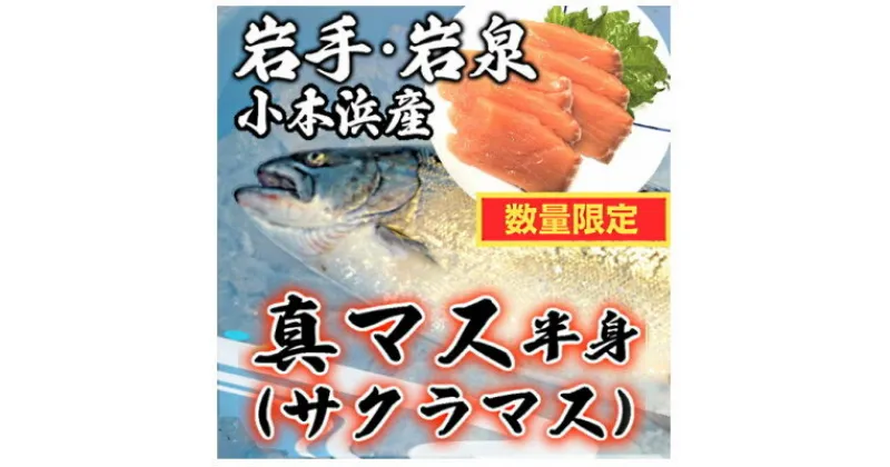 【ふるさと納税】小本浜産 天然真マス(サクラマス) 半身【配送不可地域：離島】【1487453】